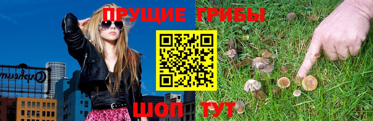 Нижнекамск  Псилоцибиновые грибы Psilocybine cubensis  Галлюциногенные грибы мицелий  Вход с VPN 