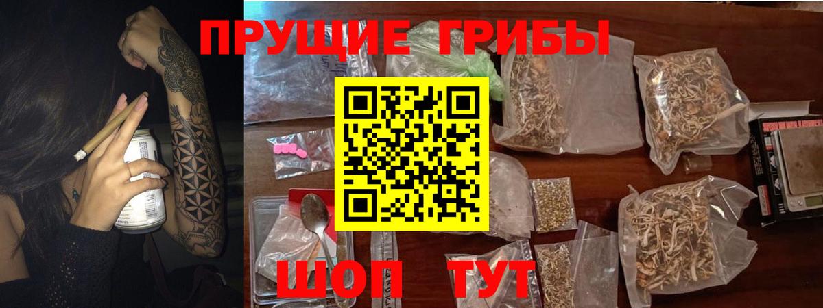 Галлюциногенные грибы прущие грибы Нижнекамск